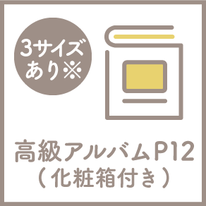 高級アルバム